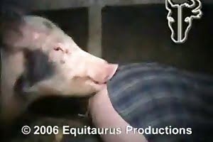 bestiality,cute