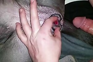 ویڈیوز زوفیلیا ایچ ڈی, ڈک کتا چوس رہا ہے۔, زو ہوم پورن, حیوانیت کی ویڈیوز, زوفائل خواتین, بھاڑ میں جاؤ, کتا, جانوروں کی جنس، چڑیا گھر کی جنس، جانوروں کی جنس، چڑیا گھر کی فحش، جانوروں کی فحش، زوفیلیا، حیوانیت