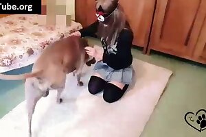 porno z końmi,zoo porno