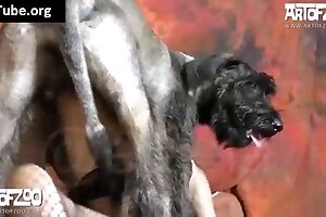 konjska pornografija, zoophil jebe kobilo, žival jebe s kurba, seks pornografija živali, konjski porno videi
