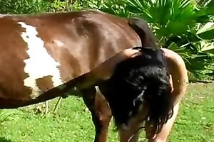 beastiality sex,bestiality
