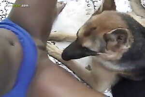 bestiality,sensual zoo sex